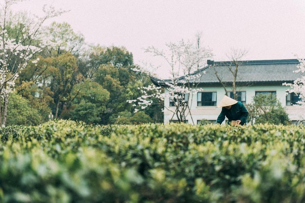Zhejiang Xizi Hotel Hangzhou Eksteriør bilde